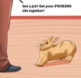 get a job