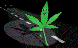 weed-walk-street-weed