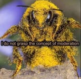 moderation