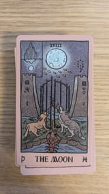 18