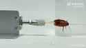 Chinese Rape Device_thumb.jpg
