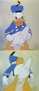 1723746348383394