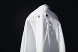 OHSHITITSTHESCHOOLGHOST