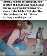 1751079857492018