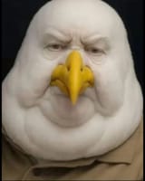 rspb