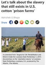 Literal cotton plantations