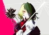 HD-wallpaper-anime-touhou-yuuka-kazami (1)
