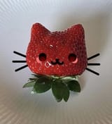 cat strawb
