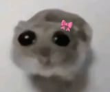 1752089454202316