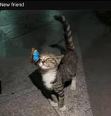 fren