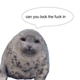 1747139601184044