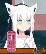 1716473181452126