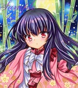 __houraisan_kaguya_touhou_drawn_by_rui_sugar3__8adad31d6835f5160f7255a395a38cb4