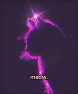 meow7
