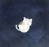 kitty srtar