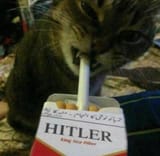 cat smoking on the hitler pack