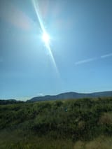 PXL_20250711_075203039
