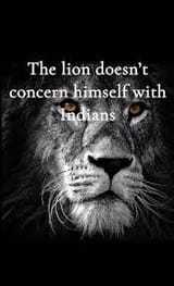 lion vs indians
