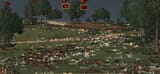 Battle of Bruges