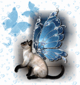 981108wd9bwfhta9