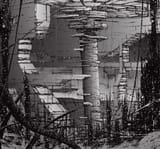 1720959991656