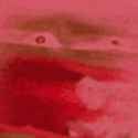 images_thumb.jpg