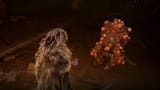 dung eater chair