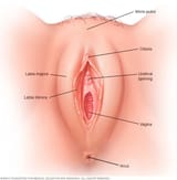 3f8