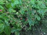 PXL_20250712_174324125
