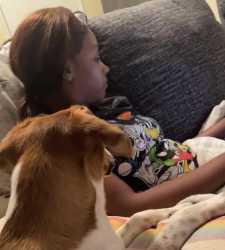 videoplayback (3)_thumb.jpg
