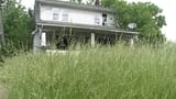 lawn