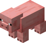 Temperate_Pig_JE3_BE2