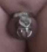 Screenshit