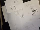 paper1