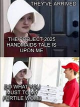 1734997347183505