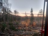 IMG_20241017_172818945_HDR