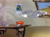 bugssniffingfood
