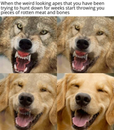 1723836790244252