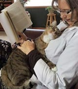 cat cuddle