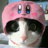 kirby cat