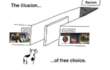 illusion