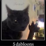 dabloons