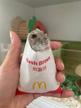 hash