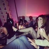 nicola gimp