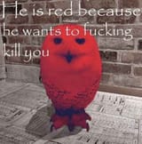 fde0c33d6689cb0b9a17ba0569c6fc6dbbde97b599b38068d995ba62979c8fe4_1.jpg