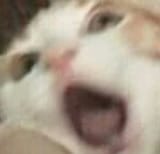 1704772718720553