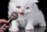 167