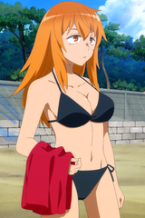 gamo-nagatoro