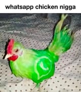1732064805038