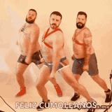 gay-bear